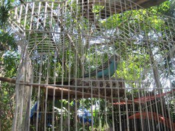 Yucatan Mayan Retreat Ecohotel And Camping Chichen Itza Ngoại thất bức ảnh